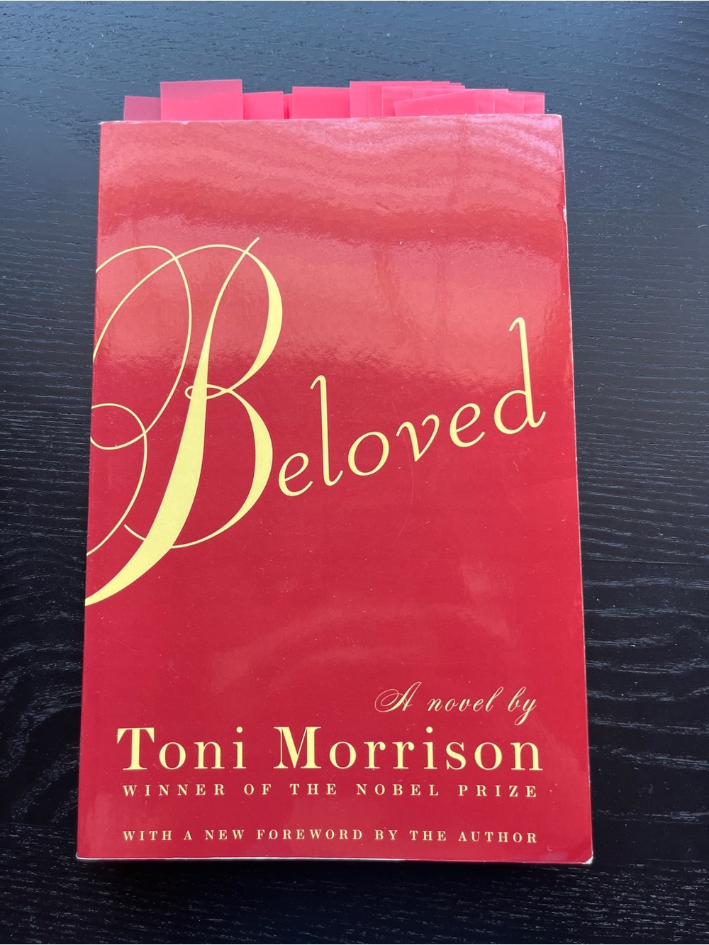 Vintage International Beloved Toni Morrison Paperback Book Red 8"x5" Annotated